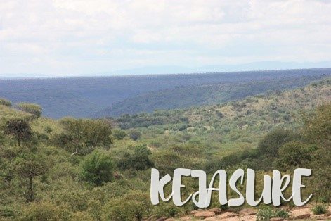 Premium ~628-Acre Eco-Tourism & Wildlife Property in Laikipia